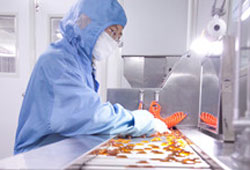 PQQ贴牌定制代加工 PQQ贴牌定制代加工